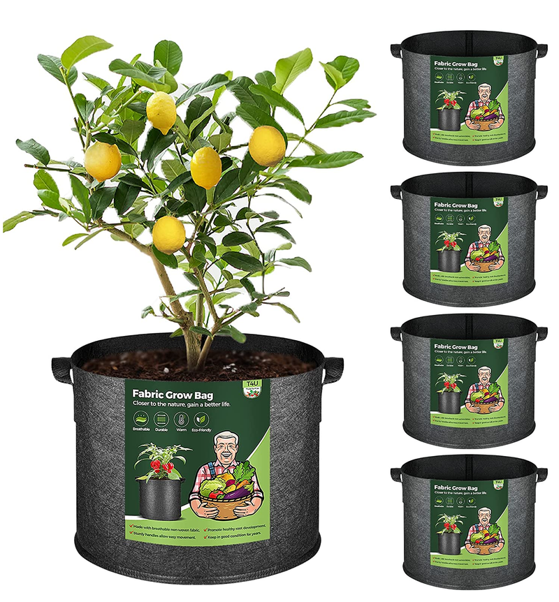 https://freshsshoe.com/cdn/shop/products/T4UFabricPlantGrowBagswithHandles_10Gallon_800x.png?v=1655242503