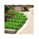 TEMCHY Artificial Plants Faux Flowers for Garden | Indoor Outdoor Decoration