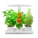 TORCHSTAR LED Indoor Herb Garden | CRI 95+ 24V Full Spectrum Plant Grower 4000K
