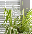 Tebery | 4 Pack Self Watering Globes For Plants