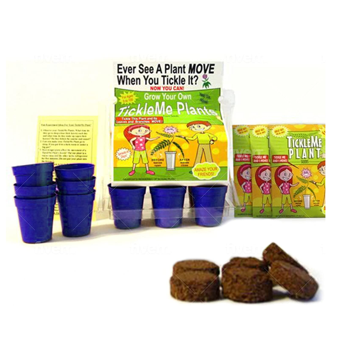 tickle me plant seeds TickleMe Plant Greenhouse Garden Kit Grow The Only House Plant That Cl