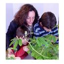 TickleMe Plant Greenhouse Garden Kit Grow The Only House Plant That Closes Its Leaves and Lowers It Branches When You Tickle It