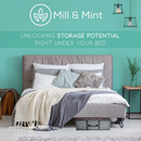 Undercover Cubes  3 Large Under Bed Storage Bags + 1 Organizer Bin