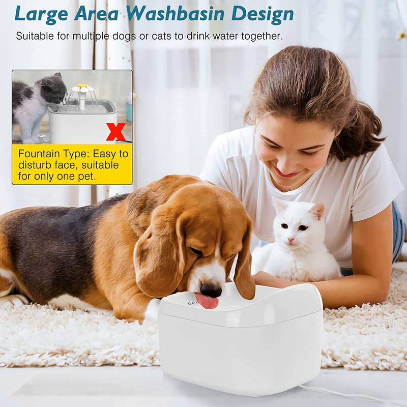 Electric water clearance dish for dogs