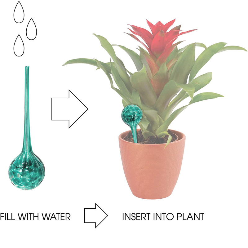 Wyndham House 3-Piece Watering Globe Set