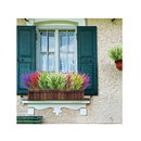 ZEOSTARO Artificial Lavender Flowers | UV Resistant For Exteriors| Synthetic Plastic Plants That Do Not Fade | Garden Window Decoration | Porch| Box | 12 Packs